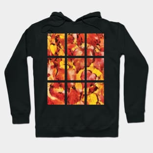 Fall Leaves in Warm Shades of Red, Orange and Yellow Colors Hoodie